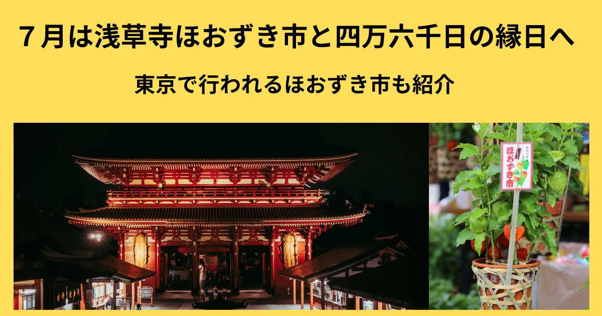 浅草寺ほおずき市と四万六千日の縁日 東京のほおずき市を紹介