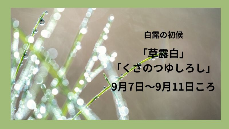 白露の初侯「草露白」について