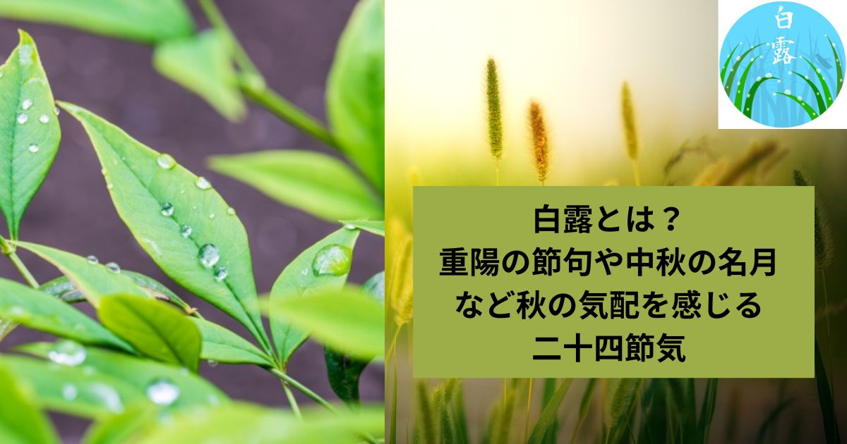 白露とは？二十四節気について紹介